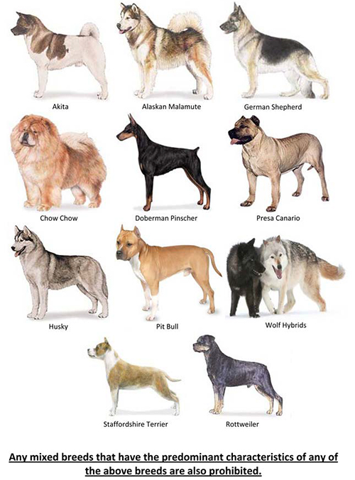 Restricted Breeds